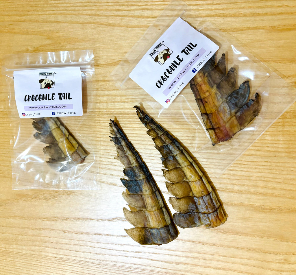 Air Dried Crocodile Tail