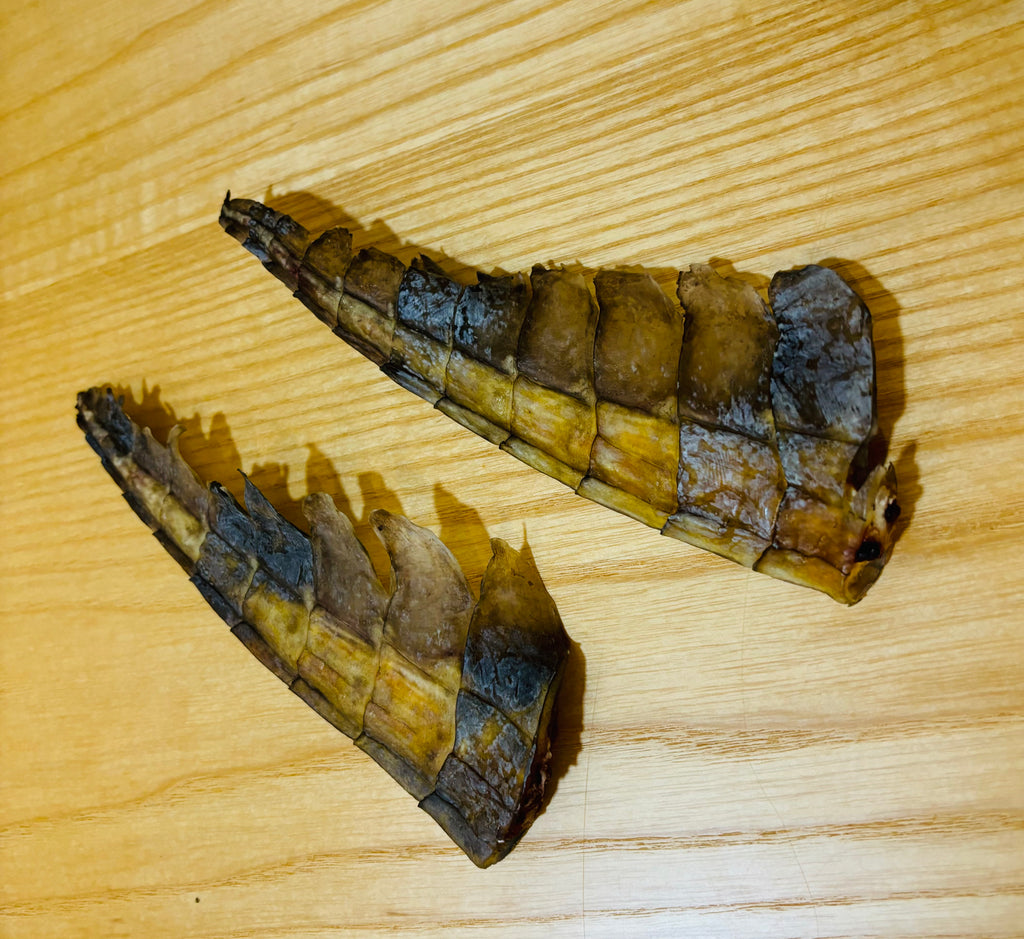 Air Dried Crocodile Tail