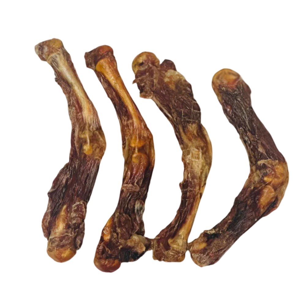 Air Dried Jumbo Crocodile Bone