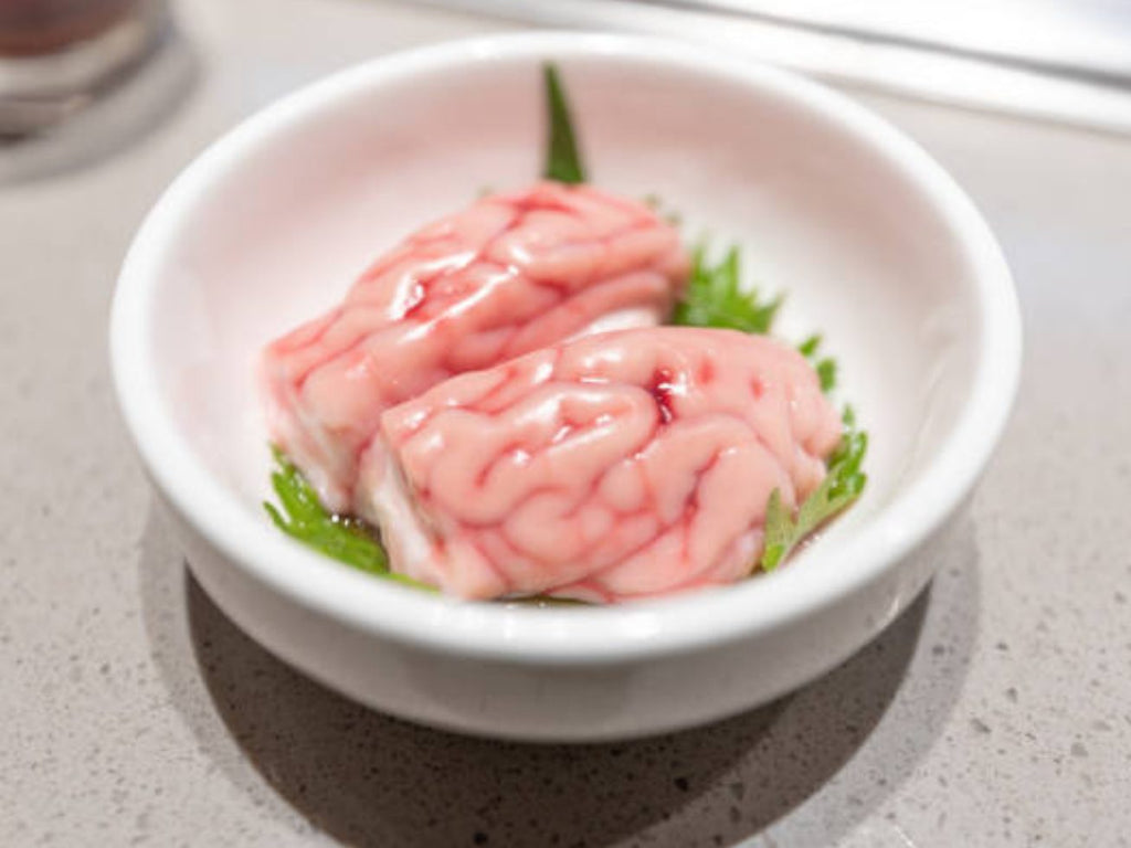 Pig Brain